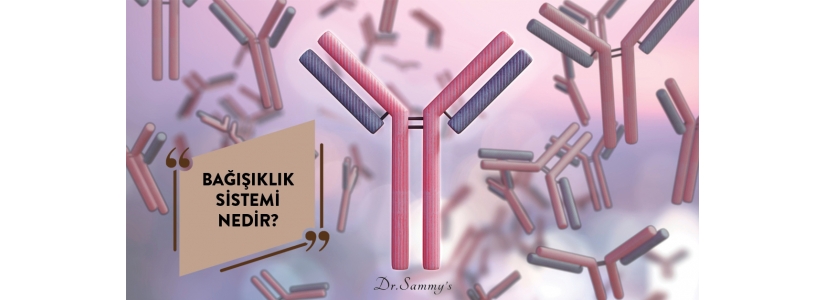 Bağışıklık Sistemi Nedir?